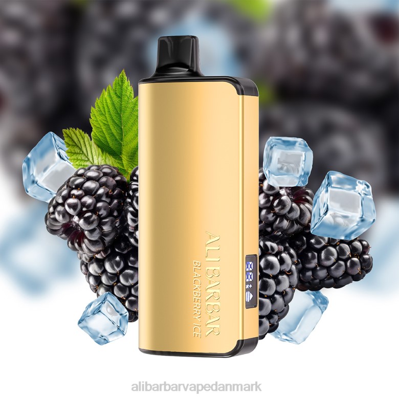 Alibarbar Vape Flavours - Alibarbar Ingot 9000 engangs vape DHP215 blåbærsprængning