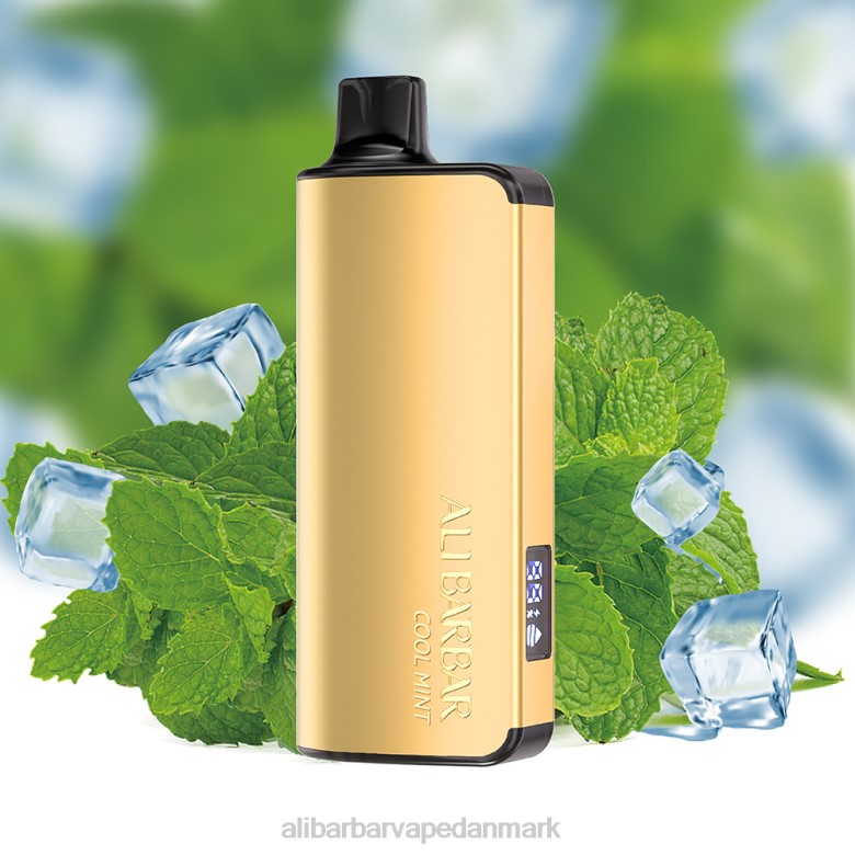 Alibarbar Vape Danmark - Alibarbar Ingot 9000 engangs vape DHP218 kølig mynte